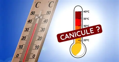 Canicule