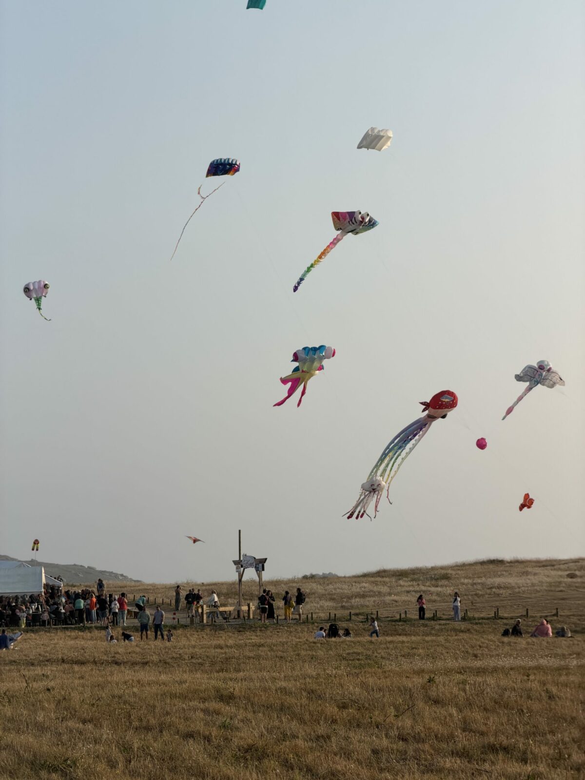 Estivent 1