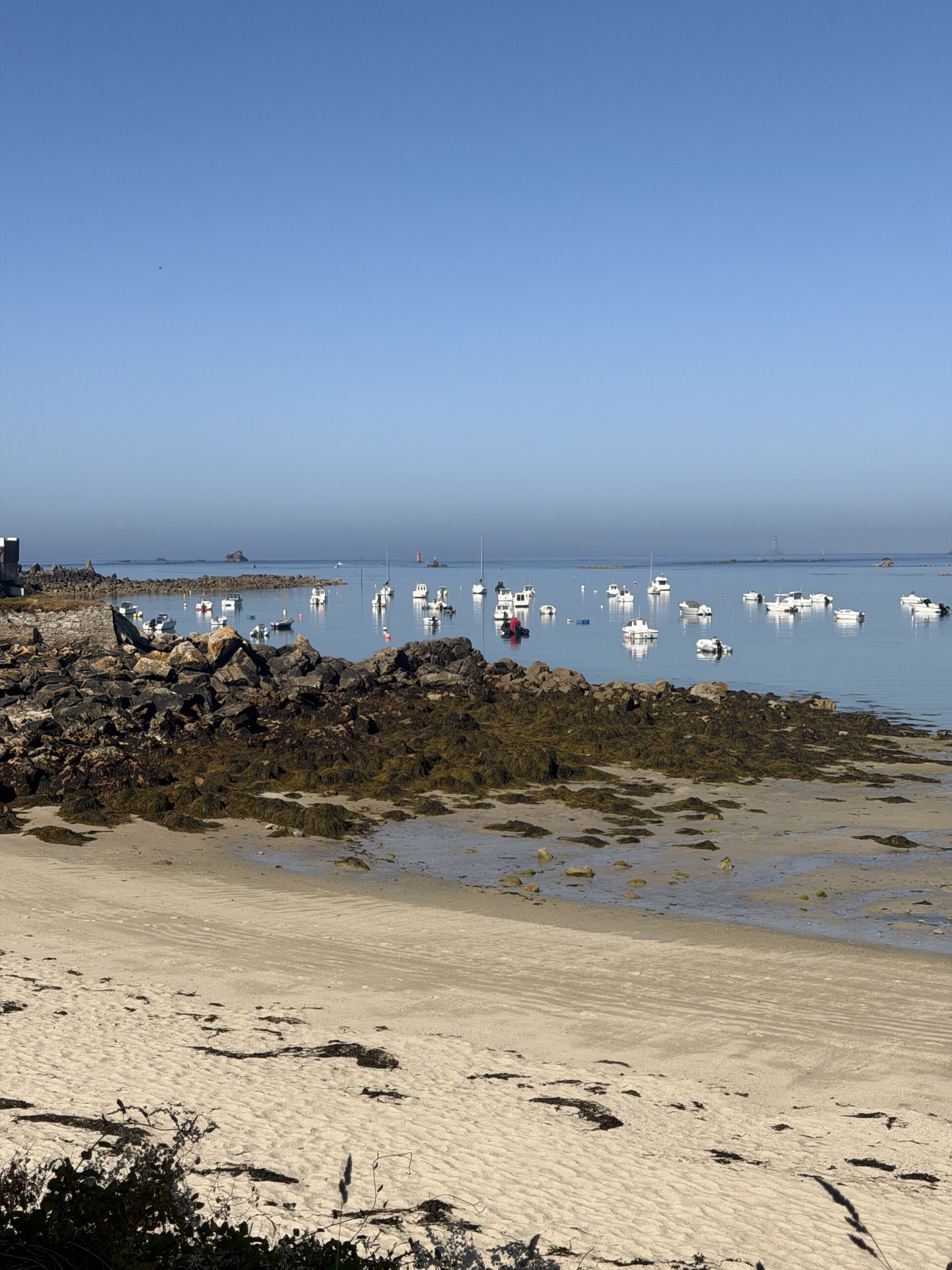Soleil port